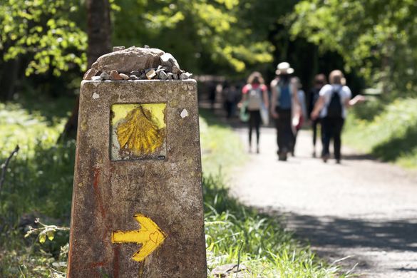 Women on the Camino de Santiago