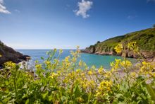 Petit Bot, Guernsey