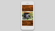 iPhone sample: A view of the new Adventure Junky app