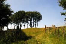 Entrance to Minning Low