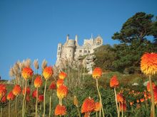 St Michael's Mount Sub Tropical Gardens