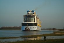 Ovation of the Seas Conveyance