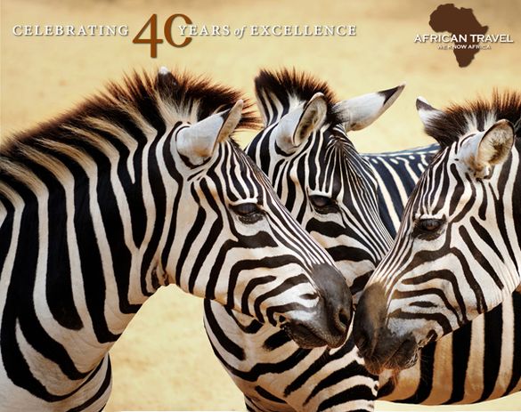 Celebrating 40 Years of Excellence Celebrating 40 Years of Excellence