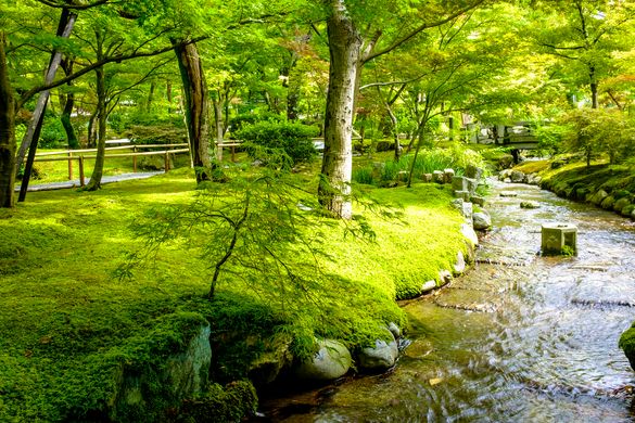 Eikando Temple Kyoto moss garden