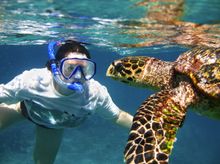 Underwater encounters