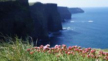 Cliffs of Moher on the Burren Way, Ireland