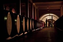 Penfolds Magill Estate Grange Tour