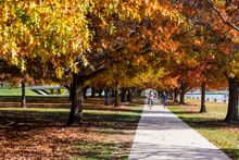 Make the most of Canberra's beautiful autumn weather. 