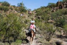 Mountain ride, White Stallion Guest Ranch, Arizona 