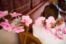 Baan Thai Spa, Echo Valley Ranch & Spa, British Columbia 