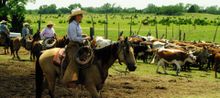 Lisa White, Island Guest Ranch, Oklahoma 
