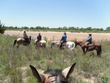 Wilderness ride, Island Guest Ranch, Oklahoma 