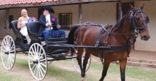 Weddings, Island Guest Ranch, Oklahoma
