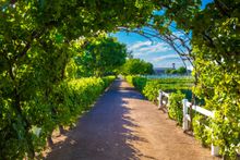 Arizona's Fresh Foodie Trail