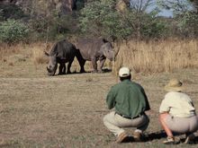Walking safari, Matobo National Park, Zimbabwe (14 day Southern African Magic)
