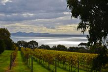 Coastal views on The Bellarine