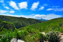 Tsitsikamma National Park, South Africa