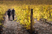 A walk in the Chianti Classico heartland 