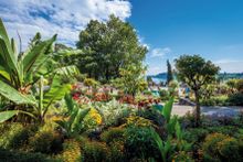 Mainau Island