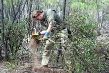 Swain Destinations VP Ian Swain II removing weeds for Wild Koala Day
