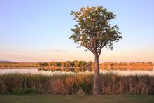 The banks of Lake Kununurra