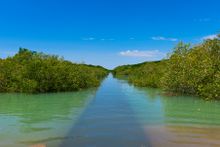 Streeters Jetty, Broome.
