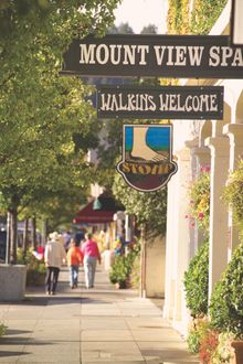 Sidewalk shopping in The Napa Valley