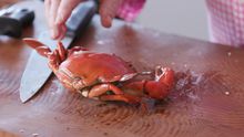 Rick Stein shows us how to crack a crab