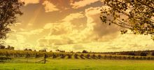 Abode Murrumbateman