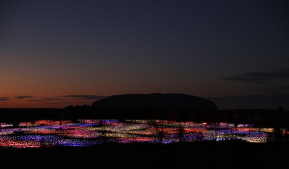 Field of Light from above