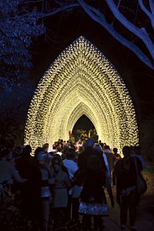 Render of Cathedral of Light, part of Vivid Sydney 2016 at the Royal Botanic Garden