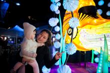 Vivid Sydney 2015