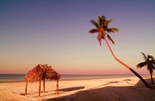 Fort Myers 