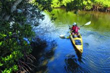 Paddling trail, by kayak, Charlotte County, Florida