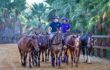 Polo in Sotogrande