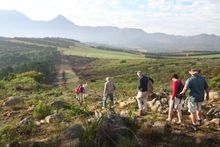Hiking in Stellenbosch