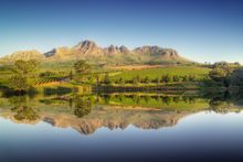 Stellenbosch wine region