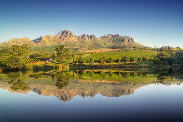 Stellenbosch wine region