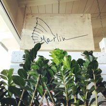 Marlin Restaurant at Terme Beach Resort