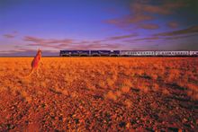 The Indian Pacific viewed by a kangaroo, Great Southern Rail