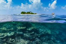 The reef at Lonubo Island