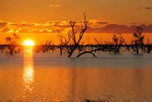 Menindee Lake