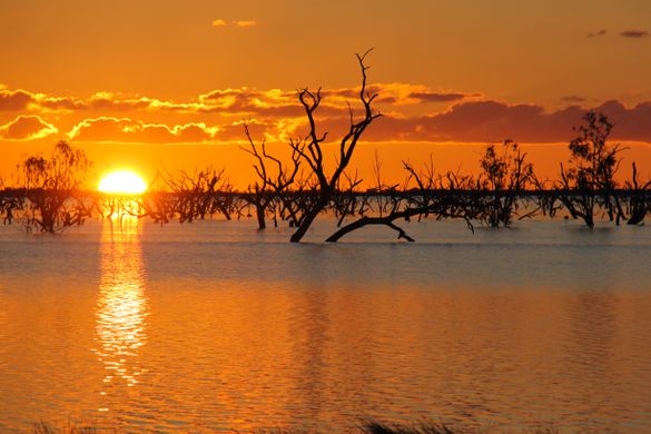 Menindee Lake