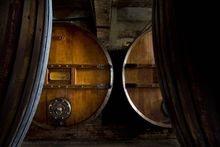 Marchesi di Barolo Wines - Oak Barrels (Italy)