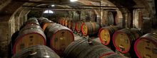 Marchesi di Barolo - Wine Cellar (Italy)