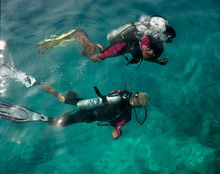 Divers at Kurumba Maldives
