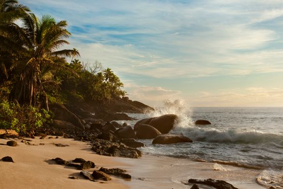 Beach on Silhouette Island 