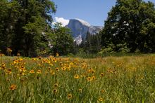 Yosemite National Park
