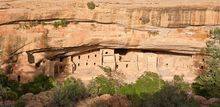 Spruce Tree House