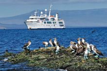 Isabela II, Galápagos Islands